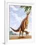 A Scelidosaurus Standing on its Hind Legs Eating Conifer Leaves-null-Framed Art Print