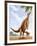 A Scelidosaurus Standing on its Hind Legs Eating Conifer Leaves-null-Framed Art Print