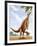 A Scelidosaurus Standing on its Hind Legs Eating Conifer Leaves-null-Framed Art Print