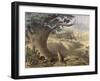 A Scene in Northern Canada, the Racoon, the Beaver, Wild Turkeys, the Elk, the Passenger Pigeon-null-Framed Giclee Print