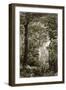 A Scene in the Brazilian Forest-English-Framed Giclee Print