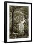 A Scene in the Brazilian Forest-English-Framed Giclee Print