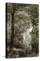 A Scene in the Brazilian Forest-English-Stretched Canvas