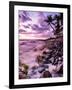 A Scenic Beach At Sunset Along The Kona Coast Of Hawaii's Big Island-Daniel Kuras-Framed Photographic Print