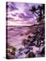 A Scenic Beach At Sunset Along The Kona Coast Of Hawaii's Big Island-Daniel Kuras-Stretched Canvas