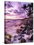 A Scenic Beach At Sunset Along The Kona Coast Of Hawaii's Big Island-Daniel Kuras-Stretched Canvas