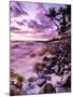 A Scenic Beach At Sunset Along The Kona Coast Of Hawaii's Big Island-Daniel Kuras-Mounted Photographic Print