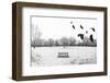 A Scenic Cold Winter Landscape with Snow and Trees and a Flock of Birds Flying By-graphicphoto-Framed Photographic Print