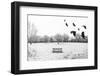 A Scenic Cold Winter Landscape with Snow and Trees and a Flock of Birds Flying By-graphicphoto-Framed Photographic Print