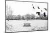 A Scenic Cold Winter Landscape with Snow and Trees and a Flock of Birds Flying By-graphicphoto-Mounted Photographic Print