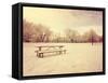 A Scenic Cold Winter Landscape with Snow and Trees Done with a Retro Vintage Instagram Filter-graphicphoto-Framed Stretched Canvas
