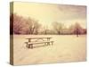 A Scenic Cold Winter Landscape with Snow and Trees Done with a Retro Vintage Instagram Filter-graphicphoto-Stretched Canvas