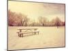 A Scenic Cold Winter Landscape with Snow and Trees Done with a Retro Vintage Instagram Filter-graphicphoto-Mounted Photographic Print