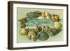 A Scenic View Bordered with Sea Shells-Lantern Press-Framed Art Print