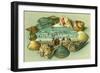 A Scenic View Bordered with Sea Shells-Lantern Press-Framed Art Print