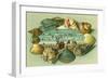 A Scenic View Bordered with Sea Shells-Lantern Press-Framed Art Print