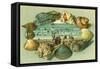 A Scenic View Bordered with Sea Shells-Lantern Press-Framed Stretched Canvas