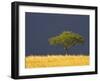 A Scenic View of The Mara, Maasai Mara, Kenya-Joe Restuccia III-Framed Photographic Print