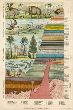 A Schematic Representation of Geology and Palaeontology | AllPosters.com