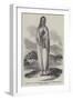 A Scholar of the Native Female Schools of the Church Missionary Society, Calcutta-null-Framed Giclee Print