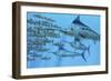 A School of Amemasu Fish Try to Evade Three Large Marlin Predators-Stocktrek Images-Framed Premium Giclee Print