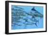 A School of Amemasu Fish Try to Evade Three Large Marlin Predators-Stocktrek Images-Framed Premium Giclee Print