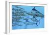 A School of Amemasu Fish Try to Evade Three Large Marlin Predators-Stocktrek Images-Framed Premium Giclee Print