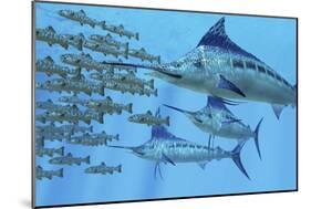 A School of Amemasu Fish Try to Evade Three Large Marlin Predators-Stocktrek Images-Mounted Art Print