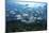 A School of Bigeye Jacks Swimming over a Reef in the Solomon Islands-Stocktrek Images-Mounted Photographic Print