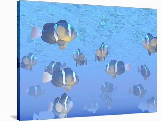 A School of Clownfish Swimming in the Sea-null-Stretched Canvas