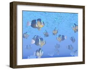 A School of Clownfish Swimming in the Sea-null-Framed Art Print