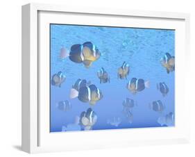 A School of Clownfish Swimming in the Sea-null-Framed Art Print