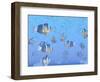 A School of Clownfish Swimming in the Sea-null-Framed Art Print