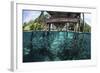 A School of Silversides Beneath a Wooden Jetty in Raja Ampat, Indonesia-Stocktrek Images-Framed Photographic Print