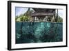 A School of Silversides Beneath a Wooden Jetty in Raja Ampat, Indonesia-Stocktrek Images-Framed Photographic Print