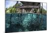 A School of Silversides Beneath a Wooden Jetty in Raja Ampat, Indonesia-Stocktrek Images-Mounted Photographic Print