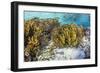 A school of striped catfish on Sebayur Island, Komodo Nat'l Park, Flores Sea, Indonesia-Michael Nolan-Framed Photographic Print