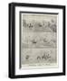 A Schoolboy's Holiday Frolic-null-Framed Giclee Print