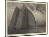 A Schooner Race on the Thames-Hamilton Macallum-Mounted Premium Giclee Print