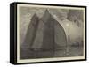 A Schooner Race on the Thames-Hamilton Macallum-Framed Stretched Canvas