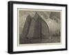 A Schooner Race on the Thames-Hamilton Macallum-Framed Giclee Print