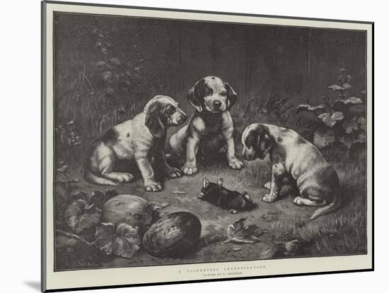 A Scientific Investigation-Carl Reichert-Mounted Giclee Print