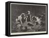 A Scientific Investigation-Carl Reichert-Framed Stretched Canvas