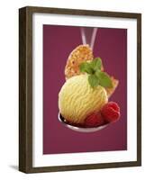 A Scoop of Vanilla Ice Cream with Hot Raspberries on a Spoon-Marc O^ Finley-Framed Photographic Print