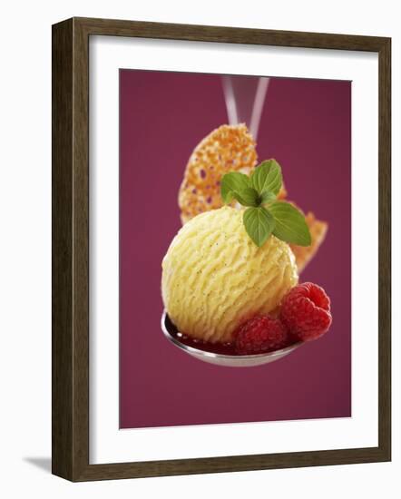 A Scoop of Vanilla Ice Cream with Hot Raspberries on a Spoon-Marc O^ Finley-Framed Photographic Print