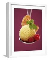 A Scoop of Vanilla Ice Cream with Hot Raspberries on a Spoon-Marc O^ Finley-Framed Photographic Print