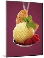 A Scoop of Vanilla Ice Cream with Hot Raspberries on a Spoon-Marc O^ Finley-Mounted Photographic Print