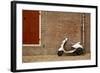 A Scooter Parked on the Sidewalk Outside of Oude Kerk Church in Amsterdam, Netherlands-Carlo Acenas-Framed Photographic Print