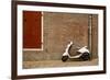 A Scooter Parked on the Sidewalk Outside of Oude Kerk Church in Amsterdam, Netherlands-Carlo Acenas-Framed Photographic Print