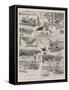 A Scotch Family Robinson and their Holiday on an Island-William Ralston-Framed Stretched Canvas